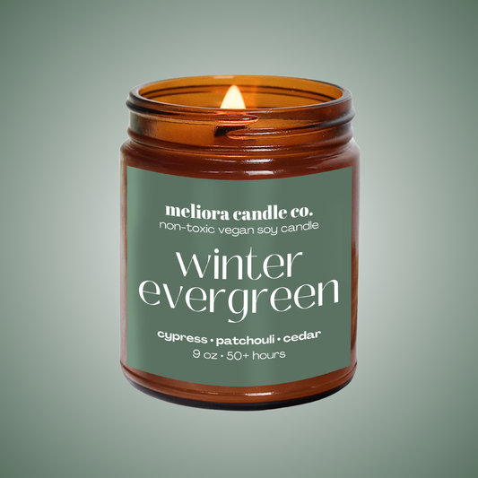 WINTER EVERGREEN